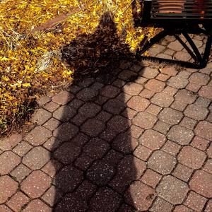 Meet your Posher, Terry